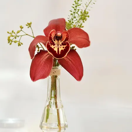 Atrium Center ホテル ブカレスト