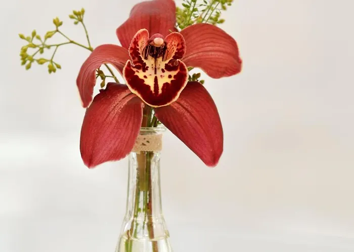 Atrium Center Ξενοδοχείο Βουκουρέστι